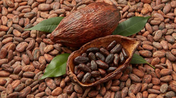 原材料可可价格暴涨,巧克力都吃不起了?