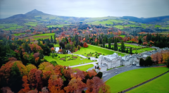 费库伦威士忌在2025嘉德春拍受到中国藏家追捧